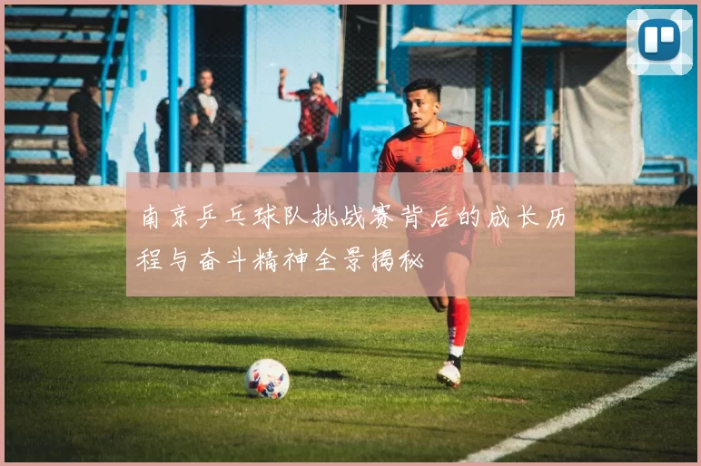 南京乒乓球队挑战赛背后的成长历程与奋斗精神全景揭秘