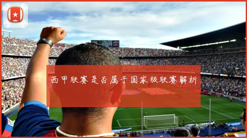西甲联赛是否属于国家级联赛解析