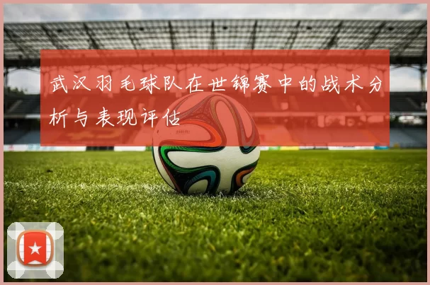 武汉羽毛球队在世锦赛中的战术分析与表现评估