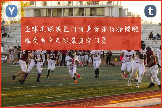 全球足球明星门将身价排行榜揭晓谁是当今足坛最贵守门员
