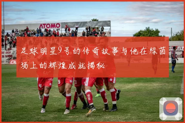 足球明星9号的传奇故事与他在绿茵场上的辉煌成就揭秘