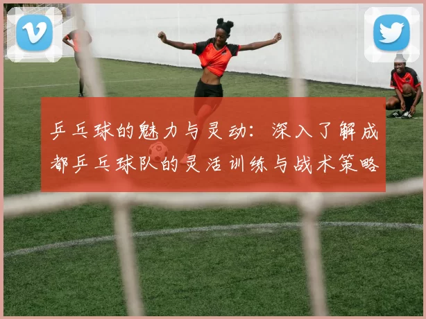 乒乓球的魅力与灵动：深入了解成都乒乓球队的灵活训练与战术策略