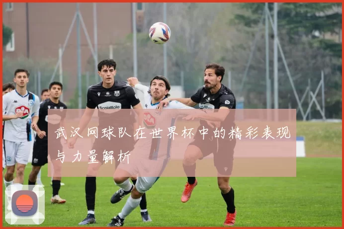 武汉网球队在世界杯中的精彩表现与力量解析