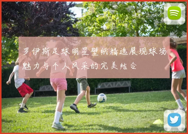 罗伊斯足球明星壁纸精选展现球场魅力与个人风采的完美结合