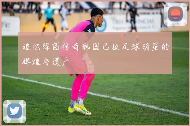追忆绿茵传奇韩国已故足球明星的辉煌与遗产