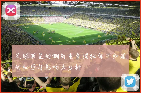 足球明星的钢钉重量揭秘你不知道的秘密与影响力分析