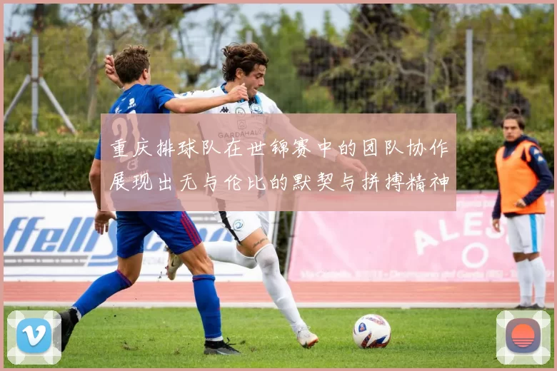 重庆排球队在世锦赛中的团队协作展现出无与伦比的默契与拼搏精神