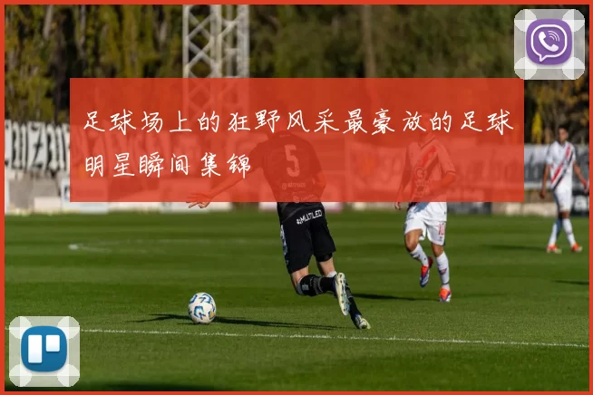 足球场上的狂野风采最豪放的足球明星瞬间集锦