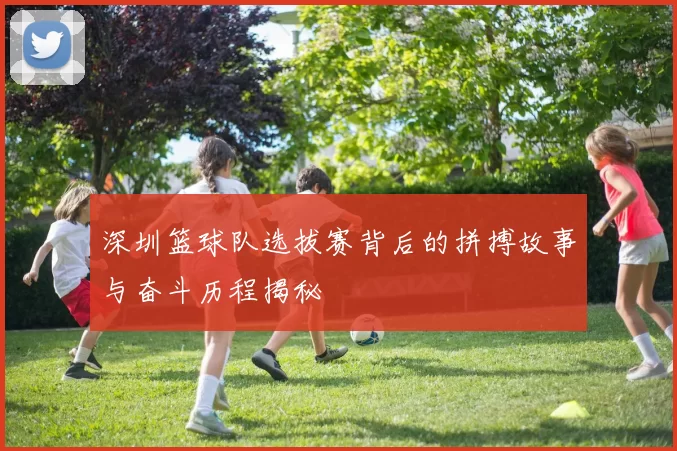 深圳篮球队选拔赛背后的拼搏故事与奋斗历程揭秘