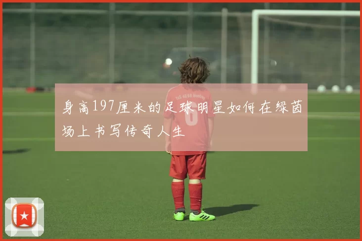 身高197厘米的足球明星如何在绿茵场上书写传奇人生