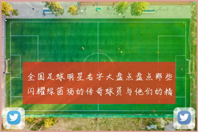 全国足球明星名字大盘点盘点那些闪耀绿茵场的传奇球员与他们的精彩瞬间