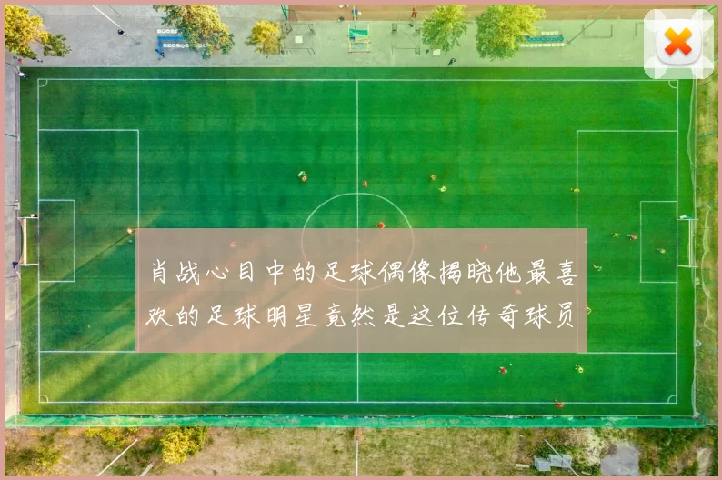 肖战心目中的足球偶像揭晓他最喜欢的足球明星竟然是这位传奇球员