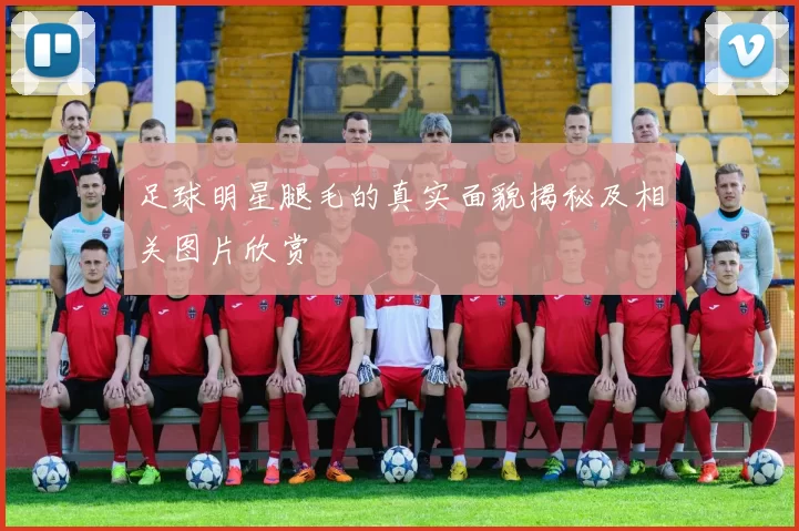 足球明星腿毛的真实面貌揭秘及相关图片欣赏