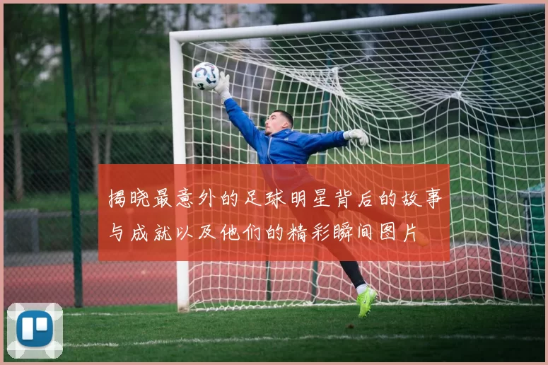 揭晓最意外的足球明星背后的故事与成就以及他们的精彩瞬间图片