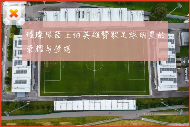 璀璨绿茵上的英雄赞歌足球明星的荣耀与梦想