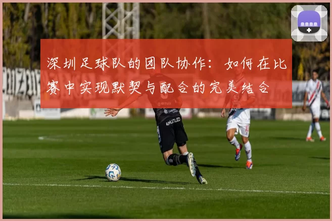 深圳足球队的团队协作：如何在比赛中实现默契与配合的完美结合