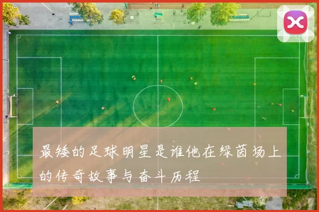 最矮的足球明星是谁他在绿茵场上的传奇故事与奋斗历程